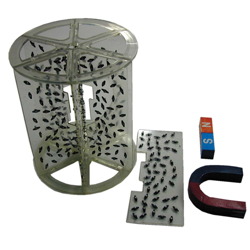 立體磁感線演示儀